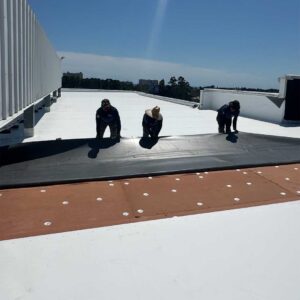 Multiple roofers unrolling and laying TPO membrane over insulation boards.